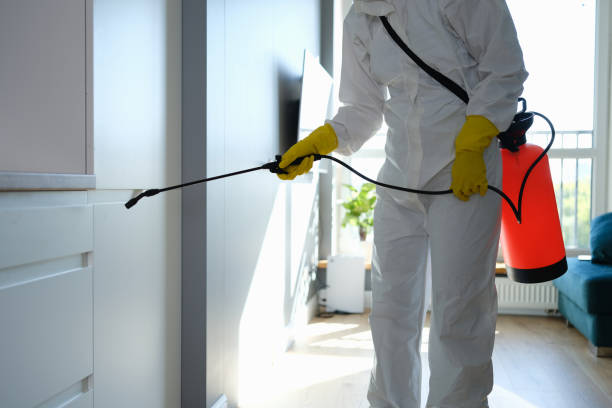 Best Emergency Mold Remediation in Dunlap, OH