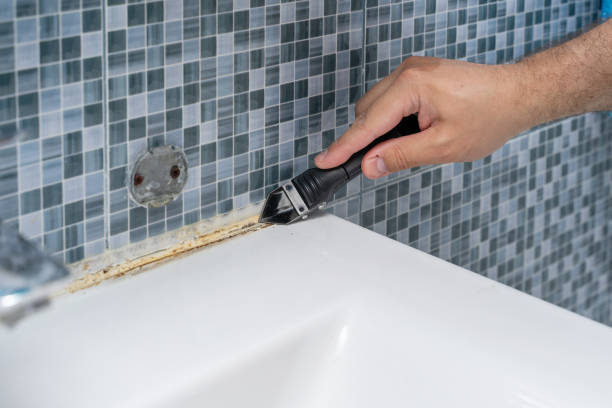 Professional Mold Remediation in Dunlap, OH