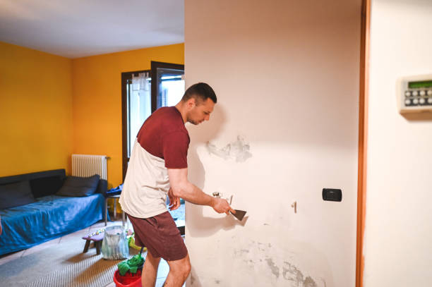 Best Crawl Space Mold Remediation in Dunlap, OH